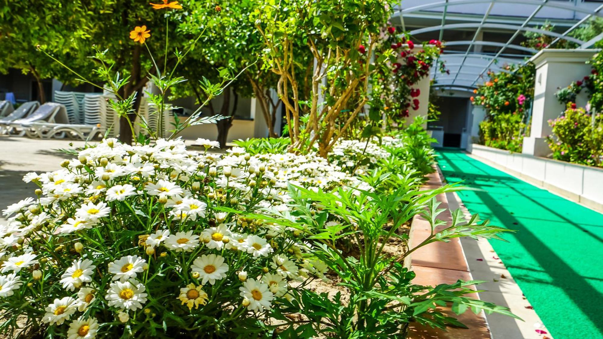 Catty Cats Garden Hotel Side Luaran gambar